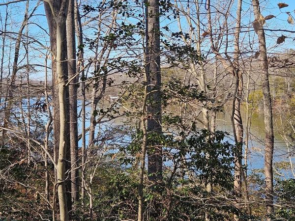 Lot 11 Greenpoint Landing Road, MONTROSS, VA 22520