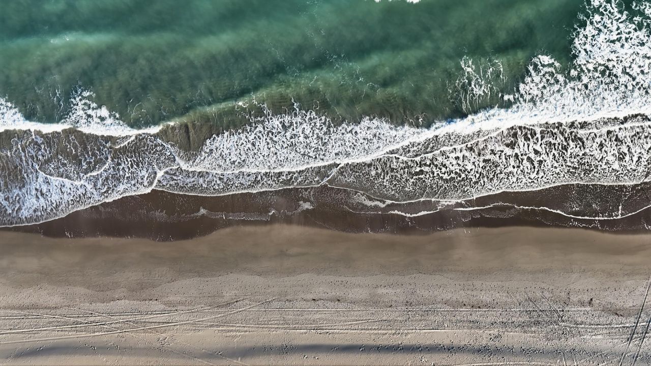 6001-1020 South Kings Hwy. Photo 65