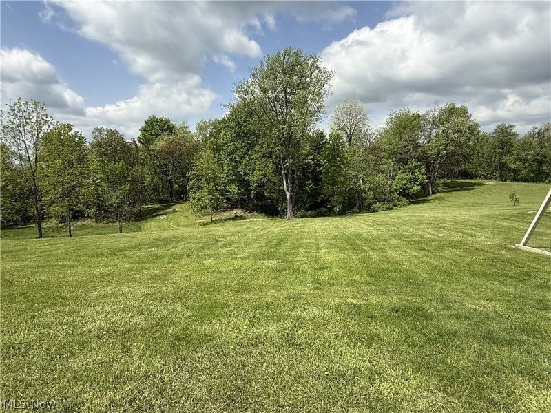 7184 State Route 43, Bergholz, OH 43908 Photo 37