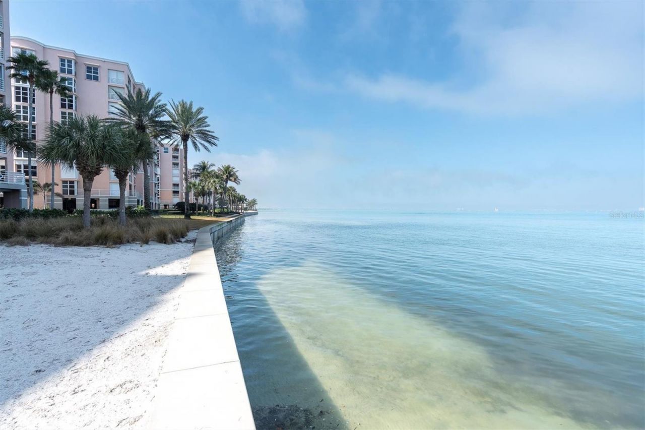 4993 Bacopa Lane S, Unit 705, Saint Petersburg, FL 33715 Photo