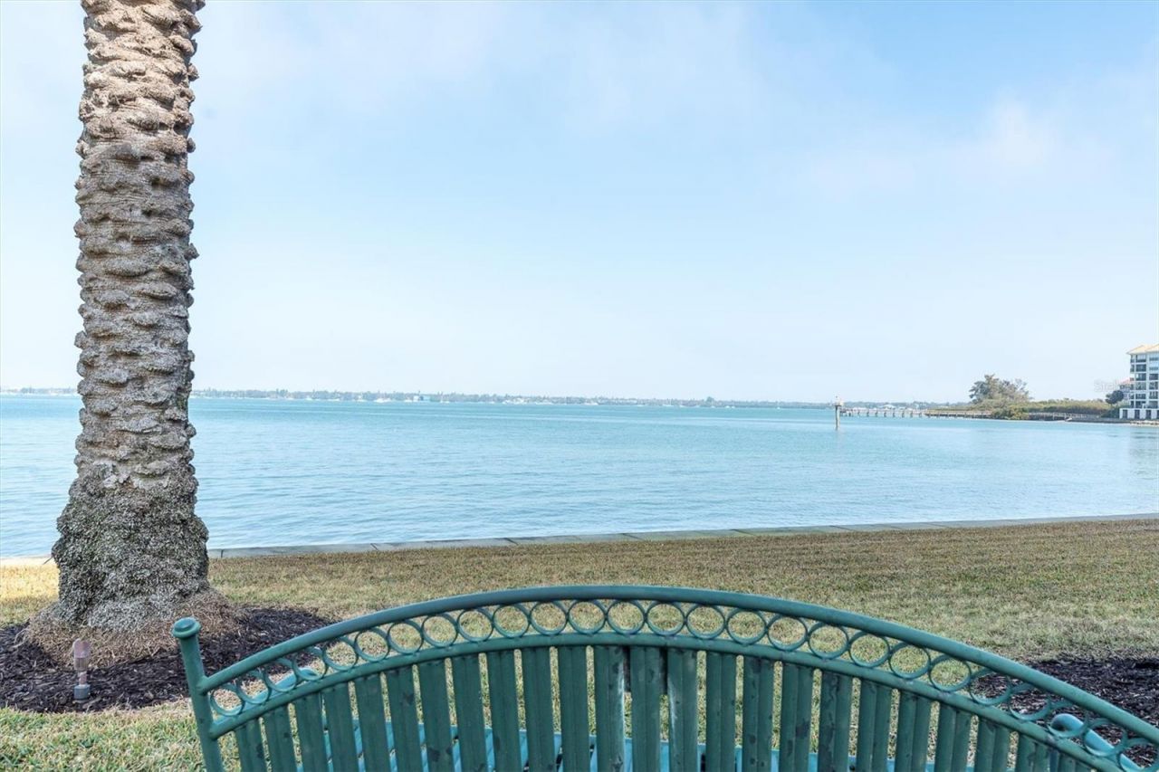 4993 Bacopa Lane S, Unit 705, Saint Petersburg, FL 33715 Photo