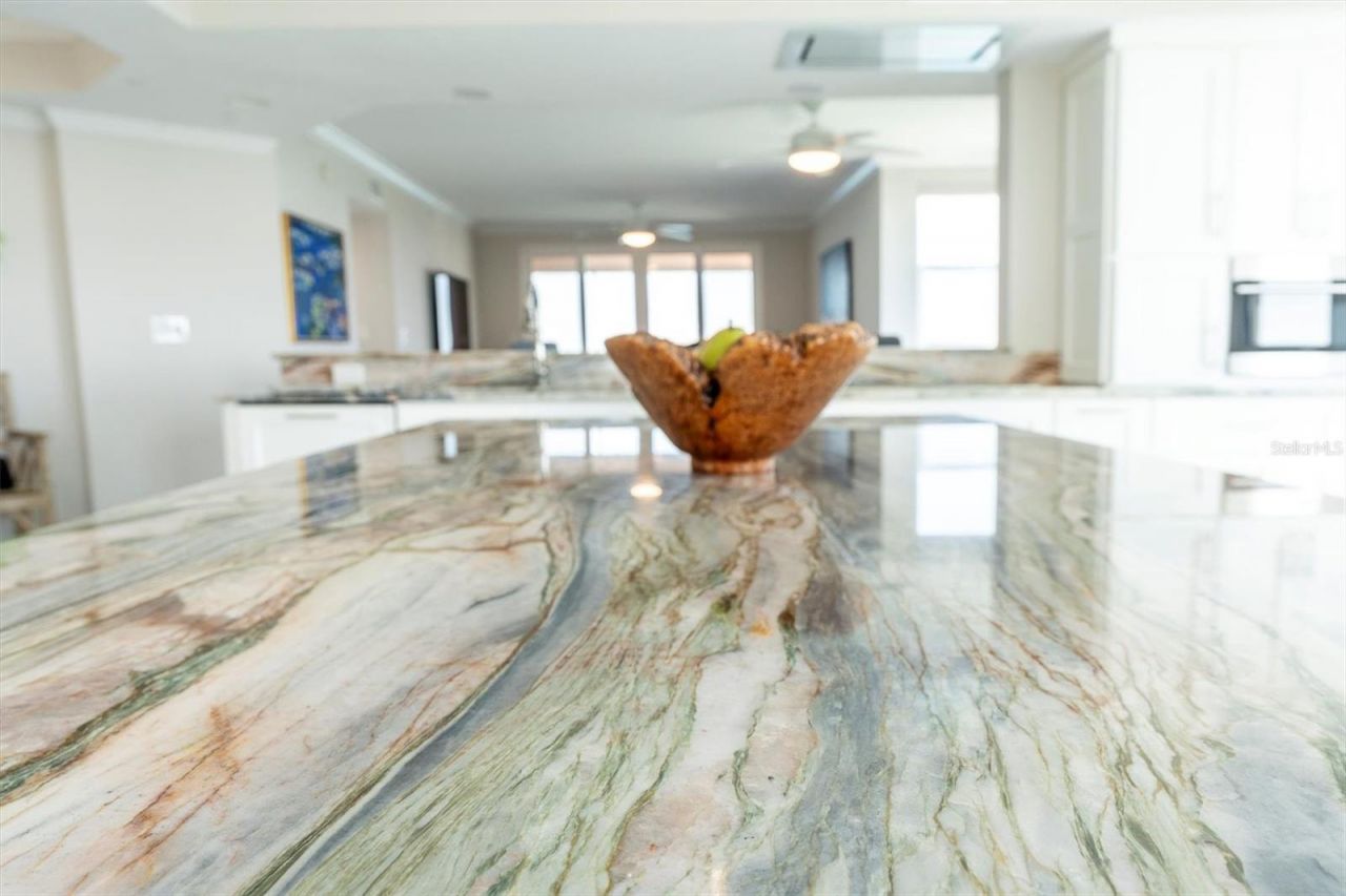 4993 Bacopa Lane S, Unit 705, Saint Petersburg, FL 33715 Photo