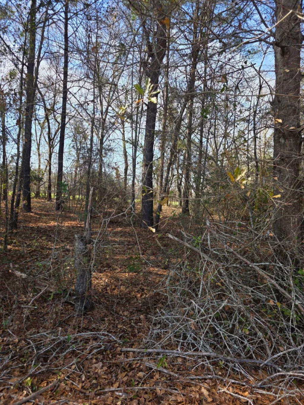 0 Adnah Church Road Photo 1