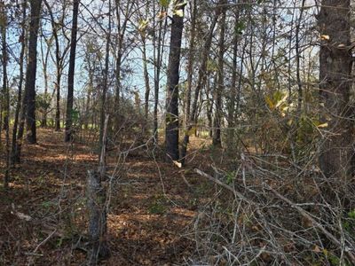 0 Adnah Church Road, Islandton, SC 29929