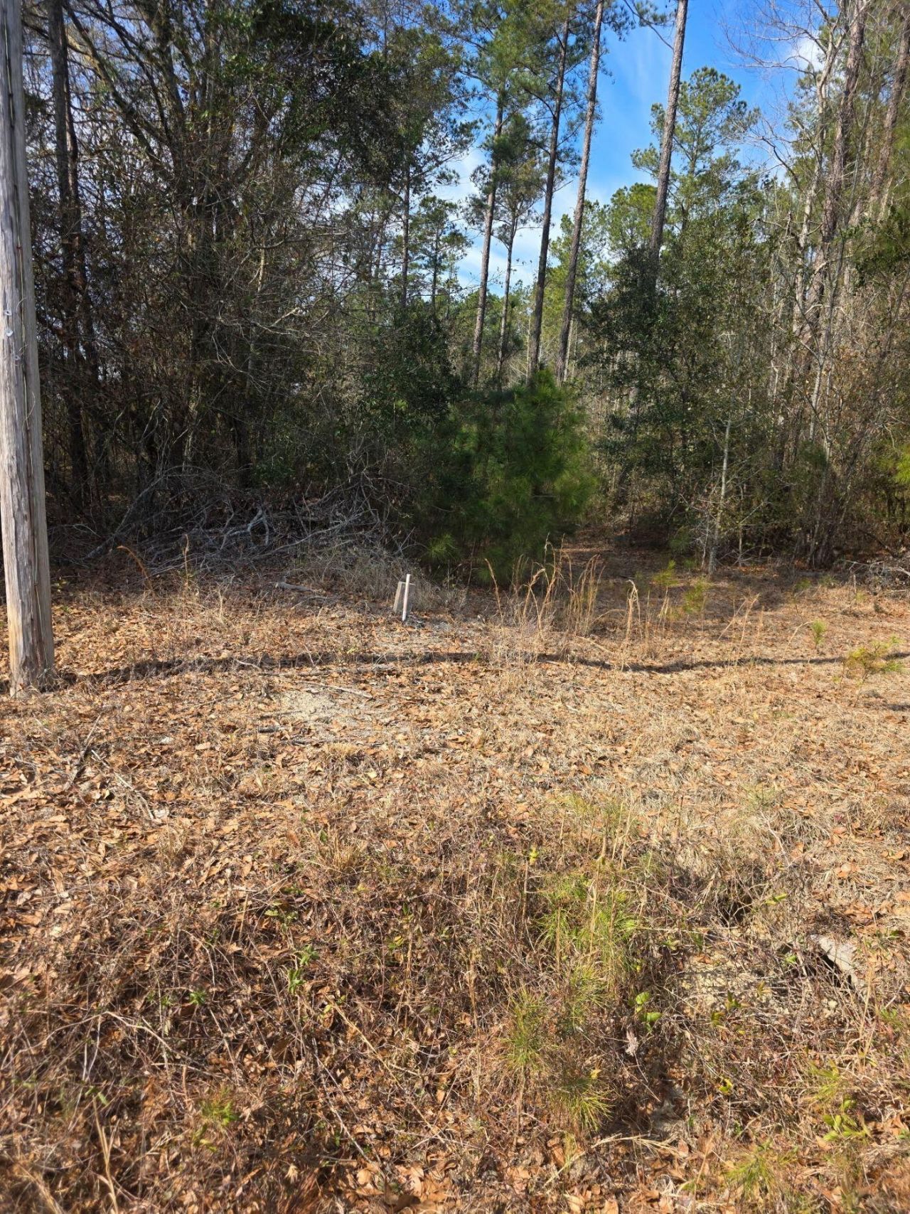 0 Adnah Church Road Photo 5