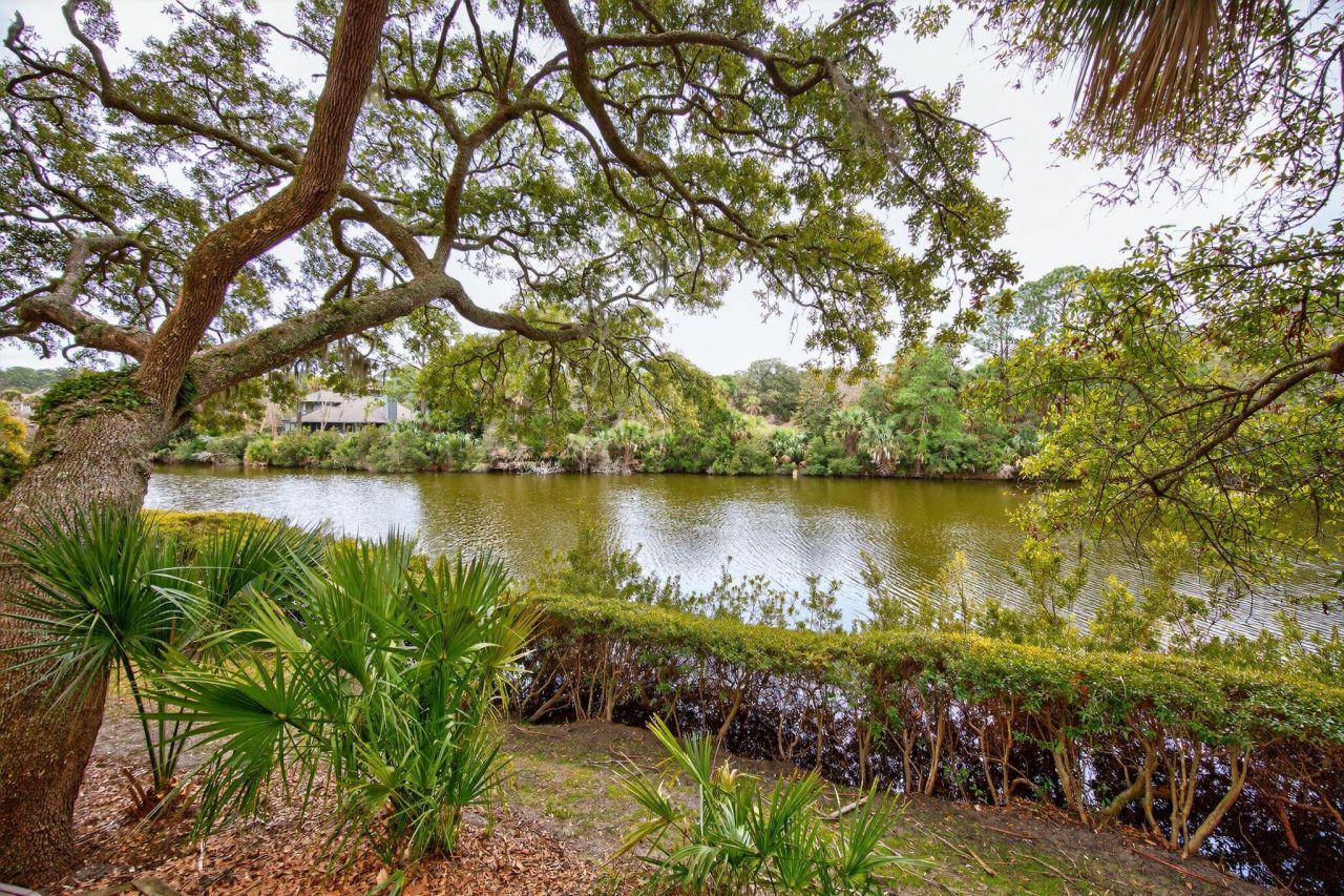 15 Bufflehead Drive Photo 35