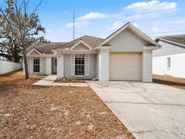 4617 CABBAGE PALM DRIVE, VALRICO, FL 33596