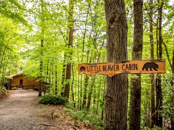 137 Little Beaver Drive, Cherry Log, GA 30522