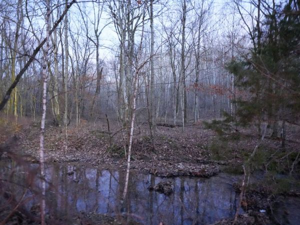 4 John Ross Hollow Rd, Erin, TN 37061