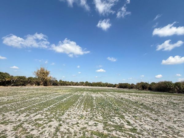 00 SW Tommy Clements Street, Indiantown, FL 34956