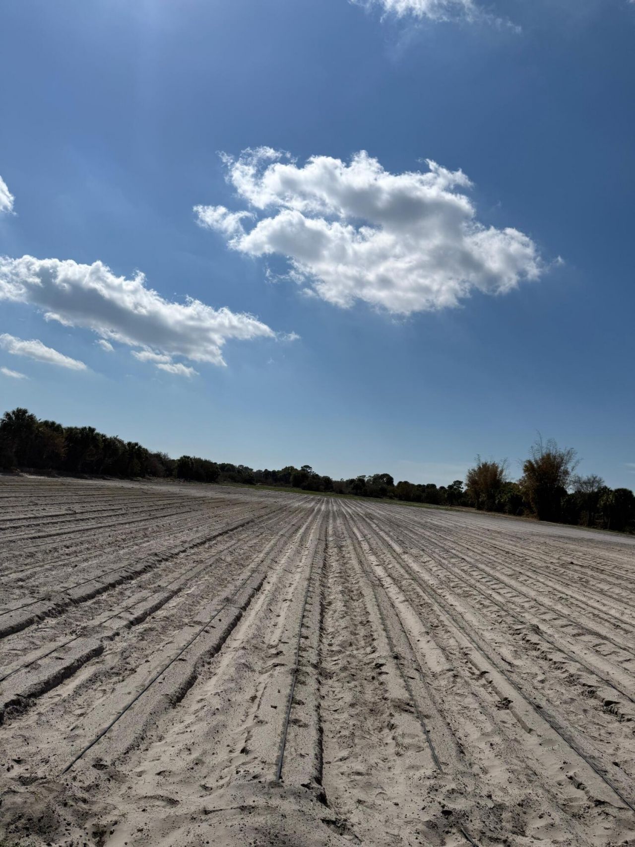 00 SW Tommy Clements Street, Indiantown, FL 34956 Photo