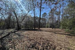 622 Juniper Springs Road  photo 4