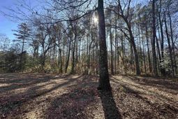 622 Juniper Springs Road  photo 4