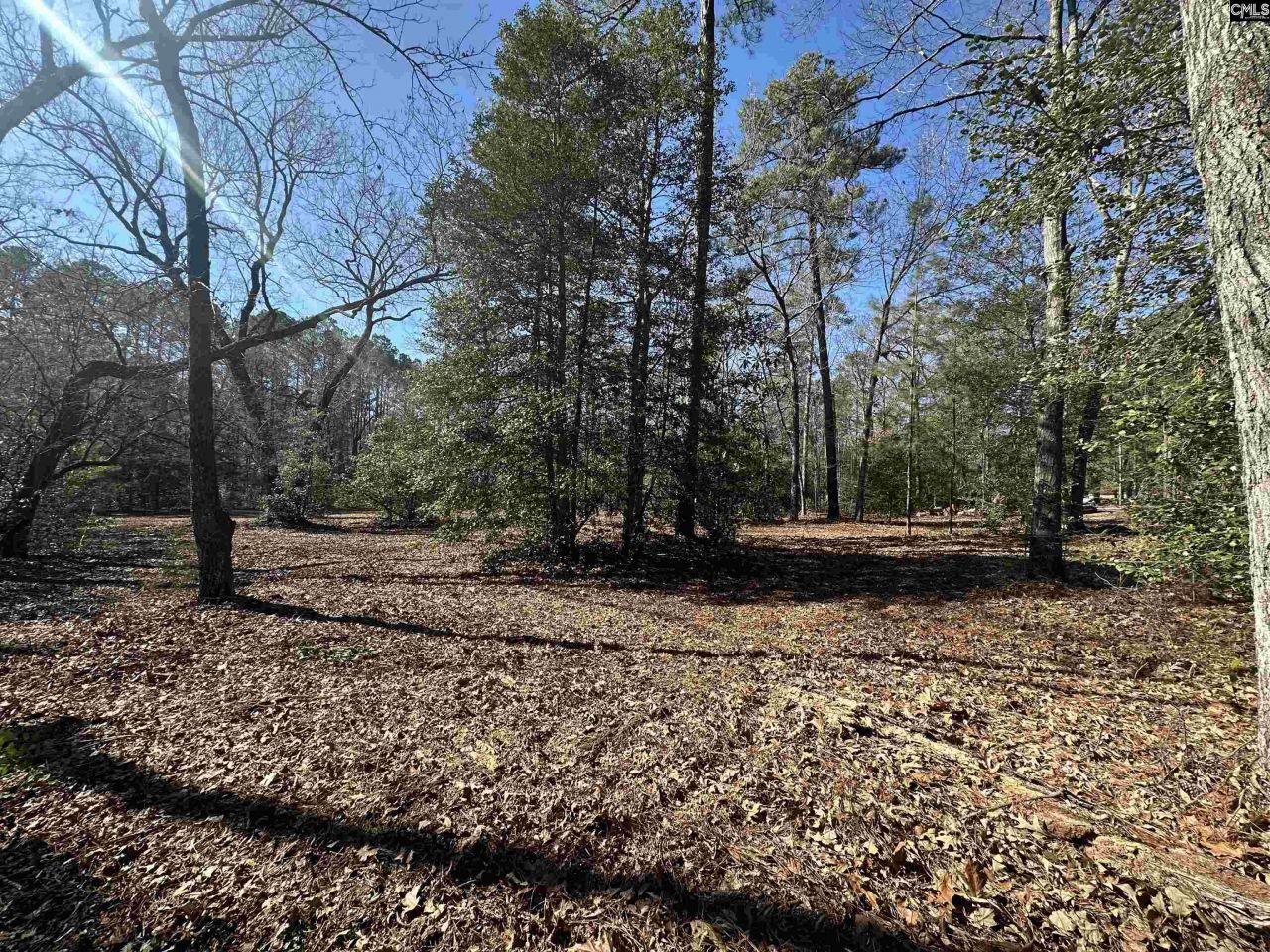 622 Juniper Springs Road  Photo 6