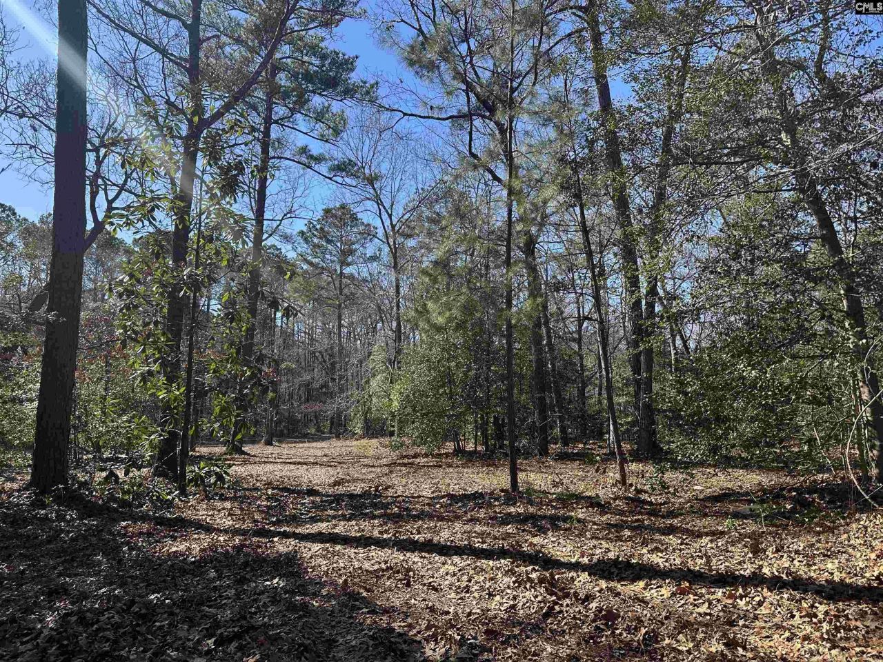 622 Juniper Springs Road  Photo 8