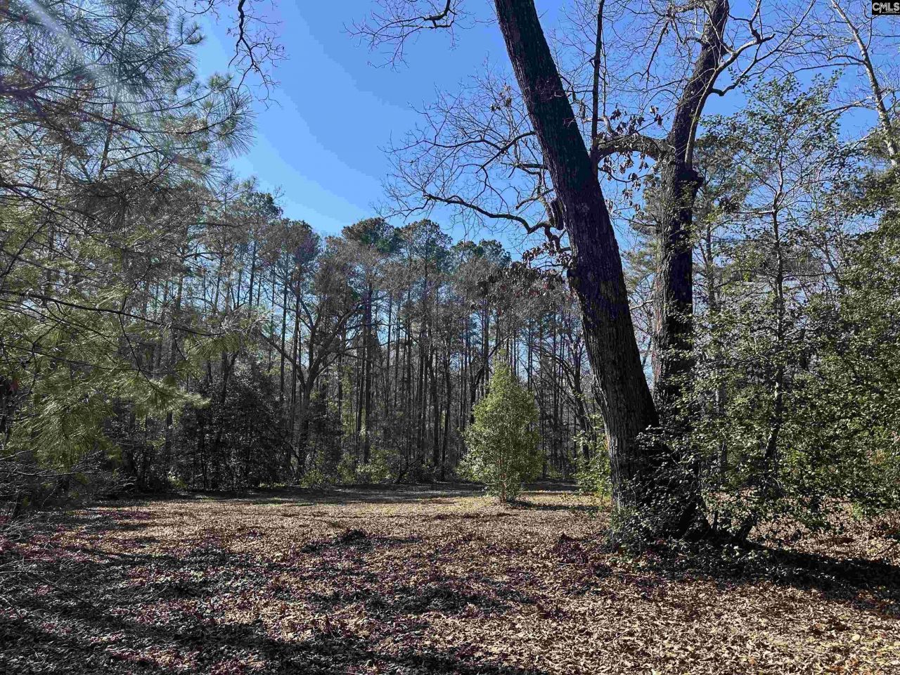 622 Juniper Springs Road  Photo 9