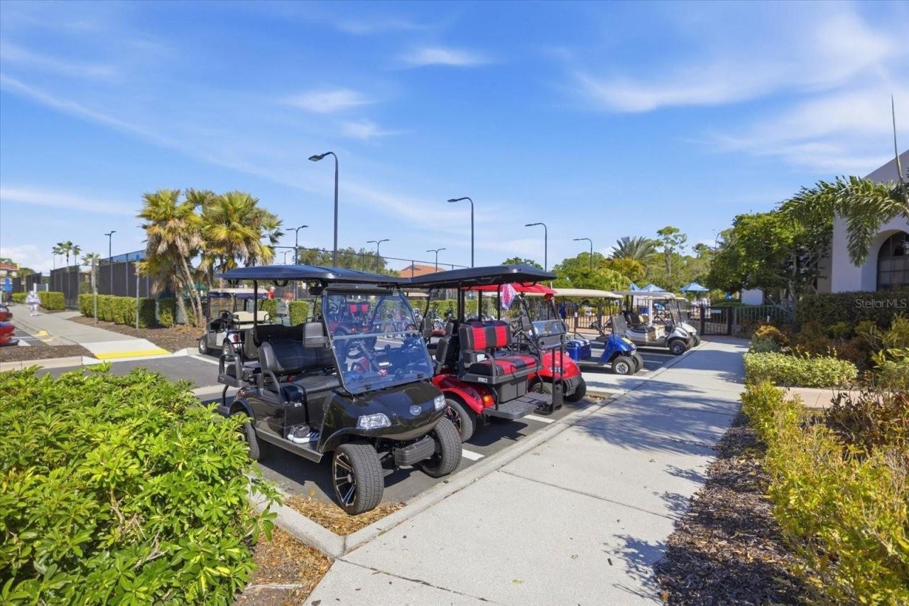 134 Medici Terrace Terrace, North Venice, FL 34275 Photo