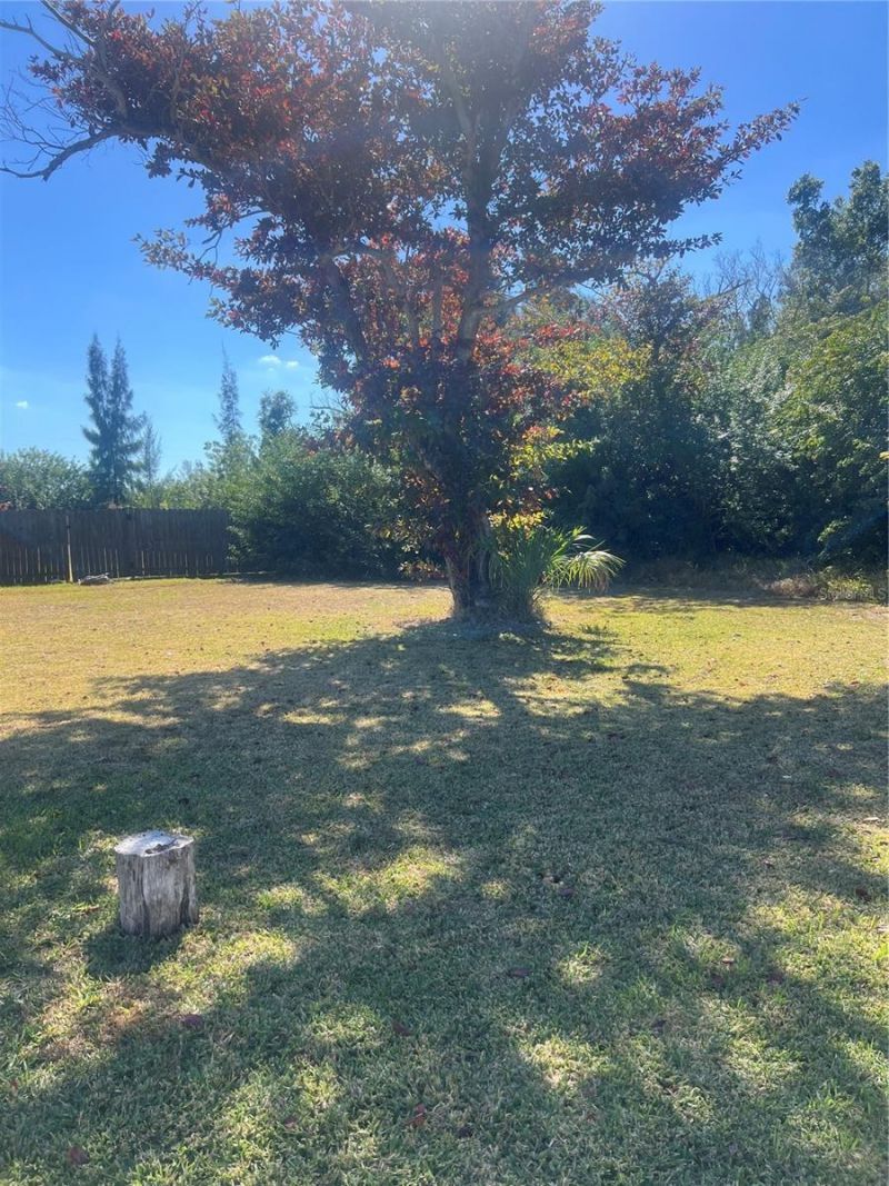 229 Darst Avenue, Punta Gorda, FL 33950 Photo