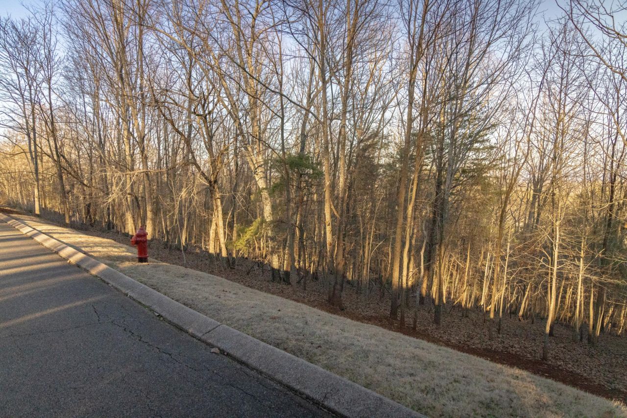 8820 Balata Drive, Ooltewah, TN 37363 Main Photo