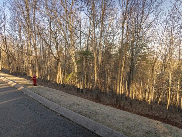 8820 Balata Drive, Ooltewah, TN 37363