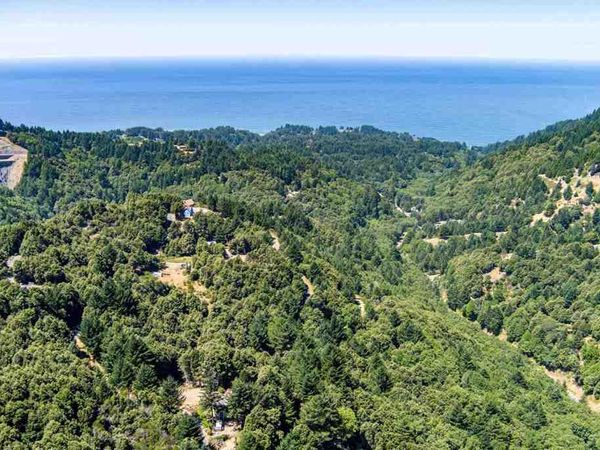 91 Walker Way, Whitethorn, CA 95589