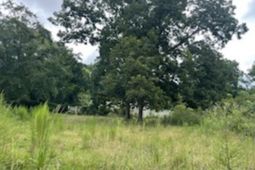 Lot A N Craig Street photo 4