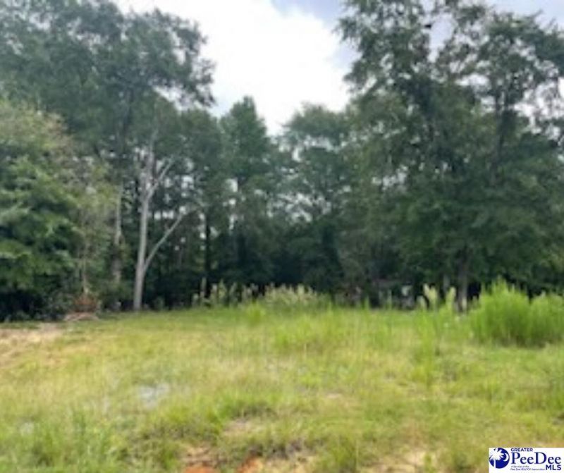 Lot A N Craig Street Photo 6