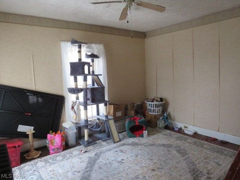 238 Whitney Street, Conneaut, OH 44030 Photo 14