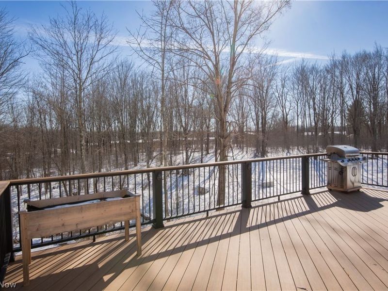 150 Seamore Road, Aurora, OH 44202 Photo 47