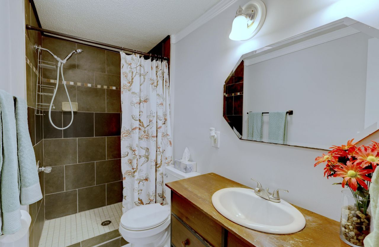 160 Grapevine Road Photo 22