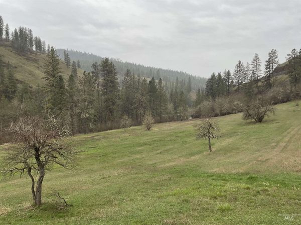 1050 Cedar Ridge Rd, Kendrick, ID 83537