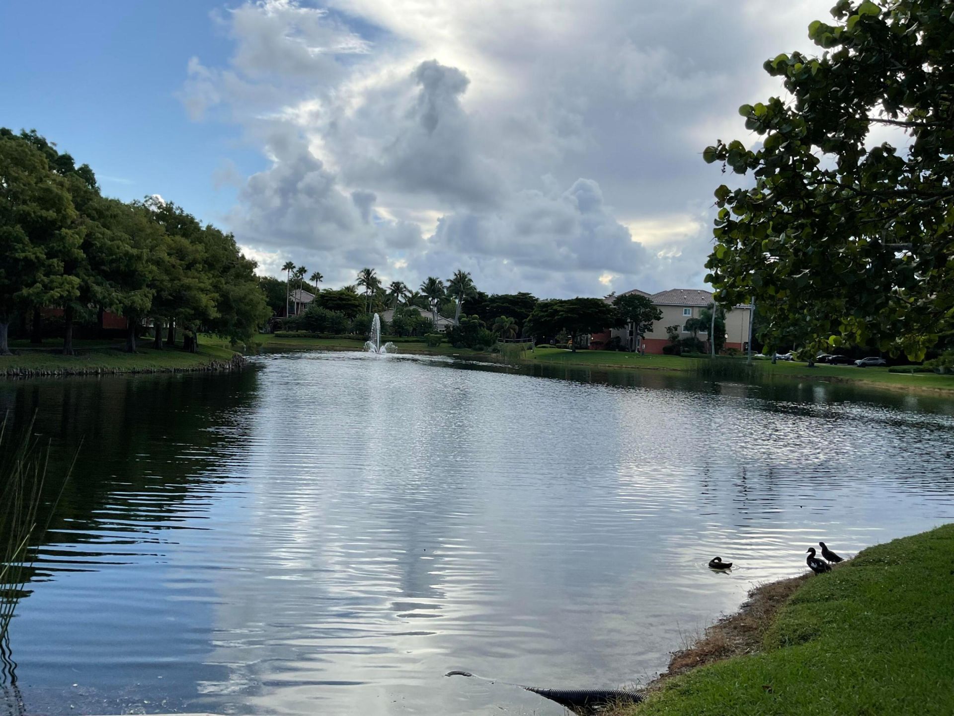 4167 N Haverhill Road, Unit 1104, West Palm Beach, FL 33417 Photo