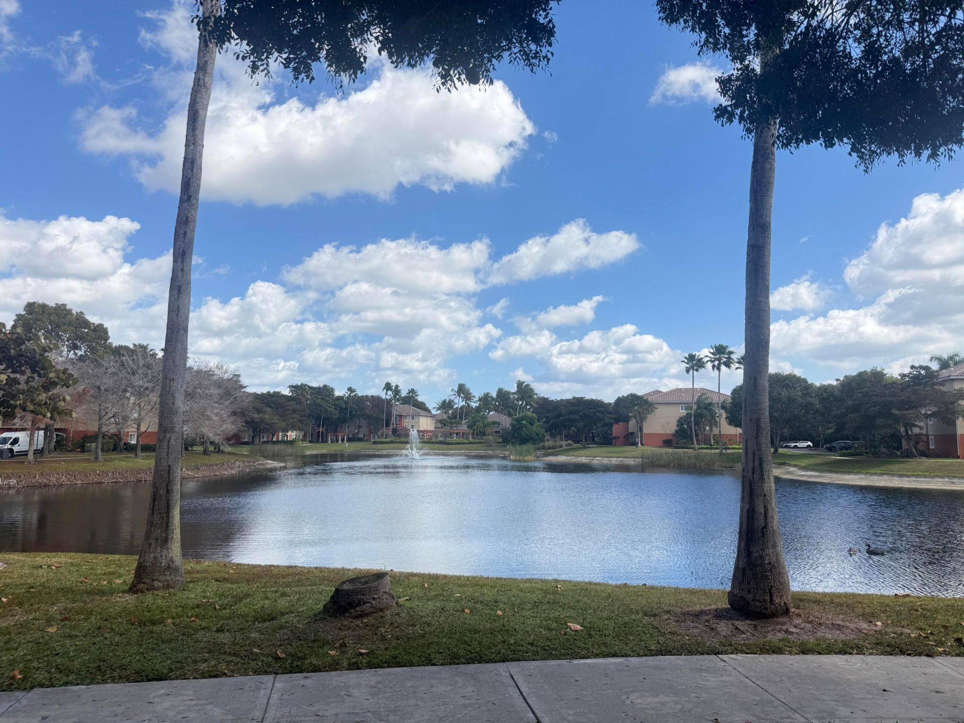 4175 N Haverhill, Unit 918, West Palm Beach, FL 33417 Photo