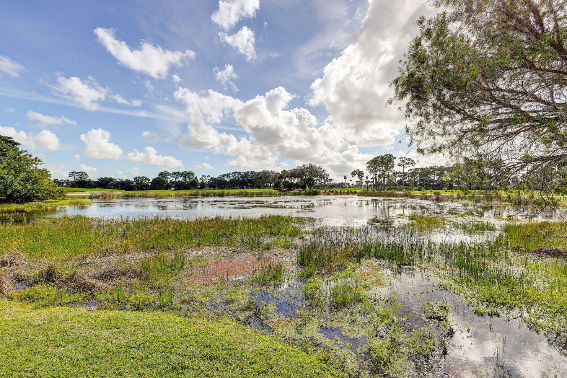 334 Brackenwood Circle, Palm Beach Gardens, FL 33418 Photo