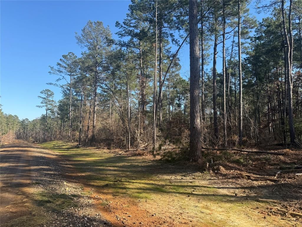 Lot 6 King Estate Lane, Ruston, LA 71270 Main Photo