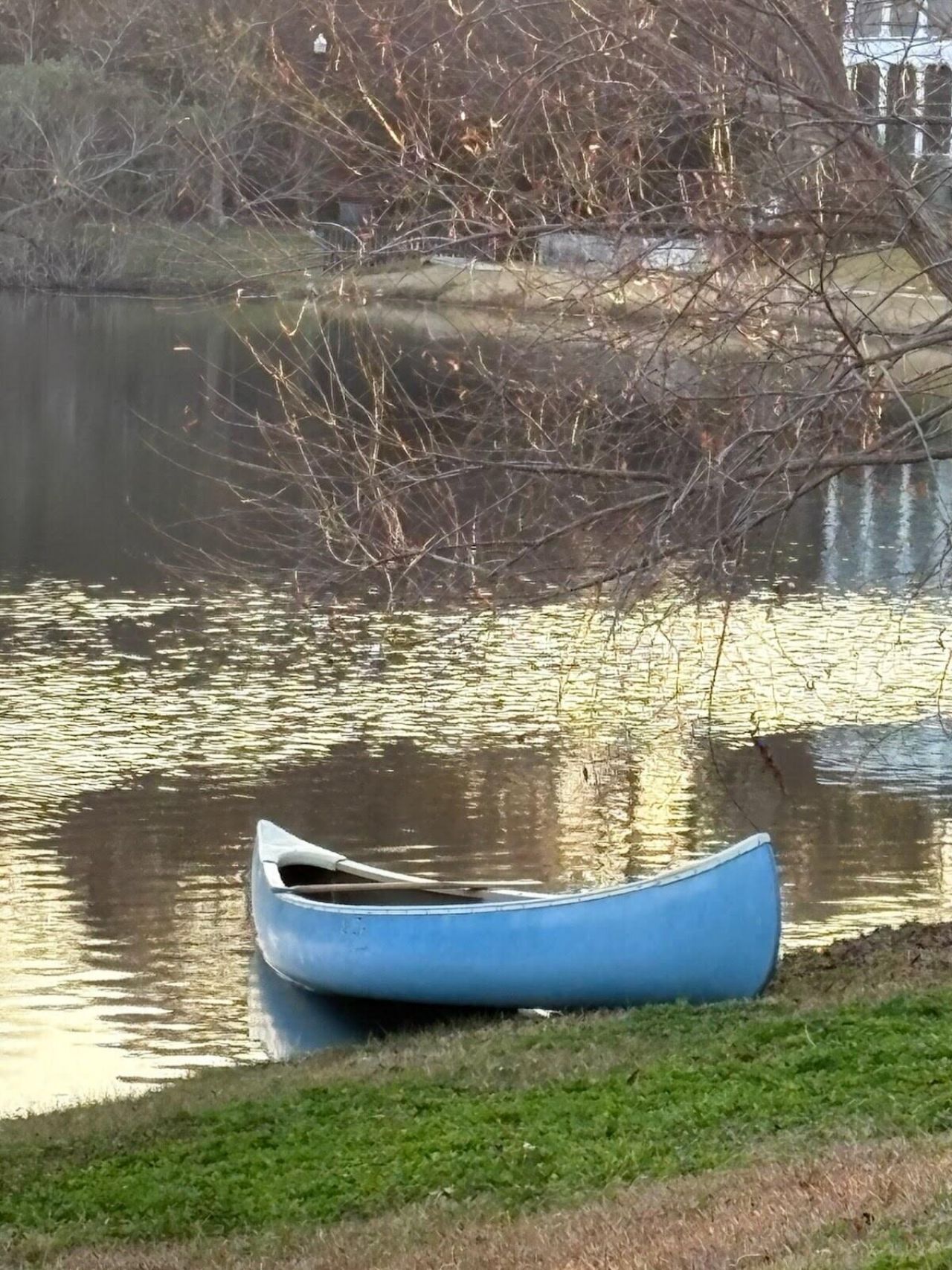 1647 Paradise Lake Drive Photo 21