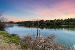 1647 Paradise Lake Drive photo 4