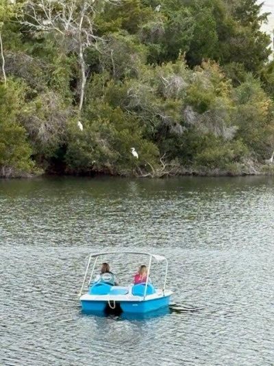 1647 Paradise Lake Drive Photo 59