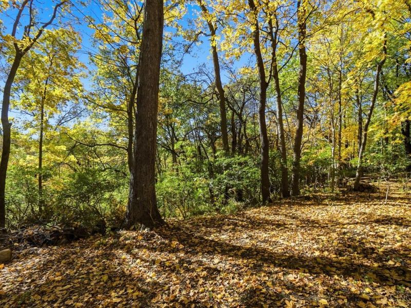 673 Brandy Way, Union Twp, OH 45244 Photo 63