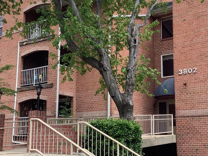 3802 Wean Drive, Unit 2-E, Baltimore, MD 21236 Main Photo