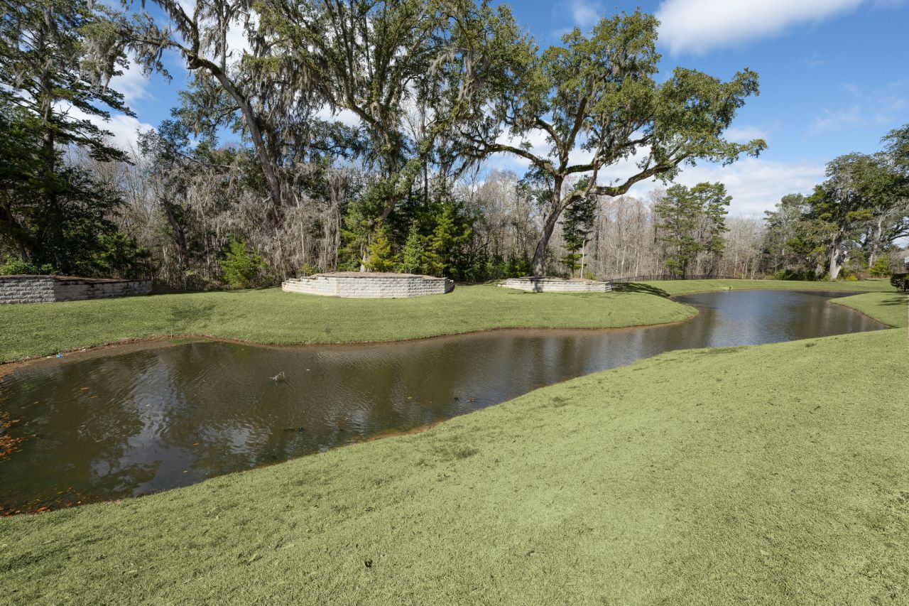 1310 Berry Grove Drive Photo 36