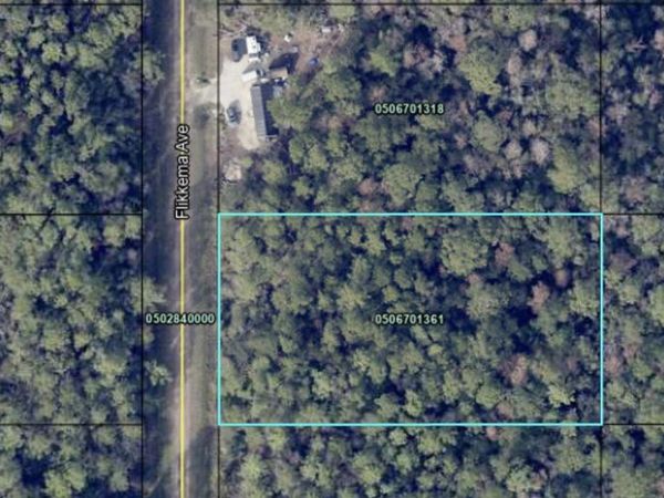 10530 Flikkema Ave, Hastings, FL 32145