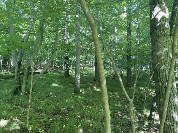 12100 Belle Isle Drive, Unit 369, Canadian Lakes, MI 49346