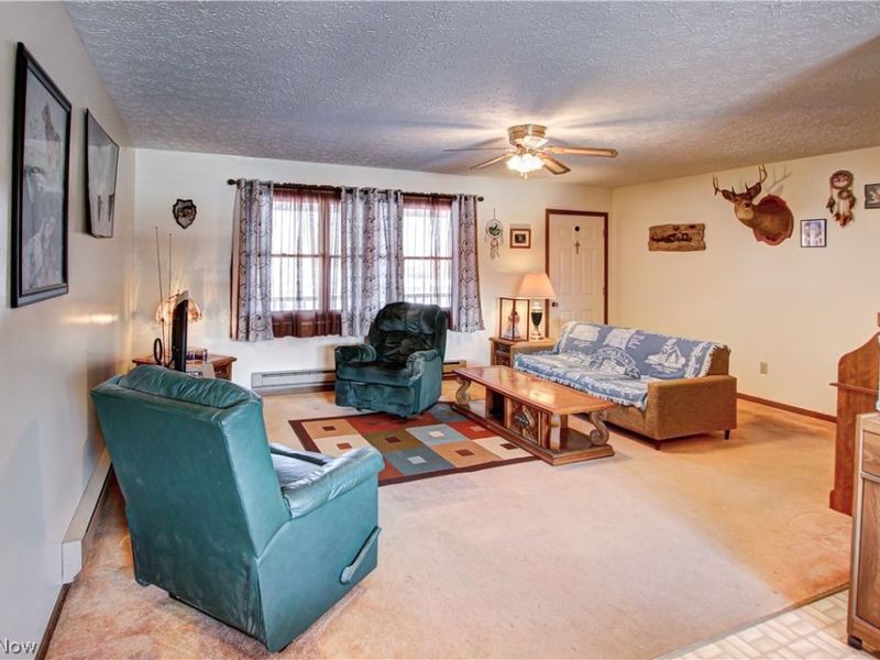 42113 Meadow Lane, Lagrange, OH 44050 Photo 10