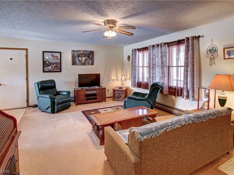 42113 Meadow Lane, Lagrange, OH 44050 Photo 11