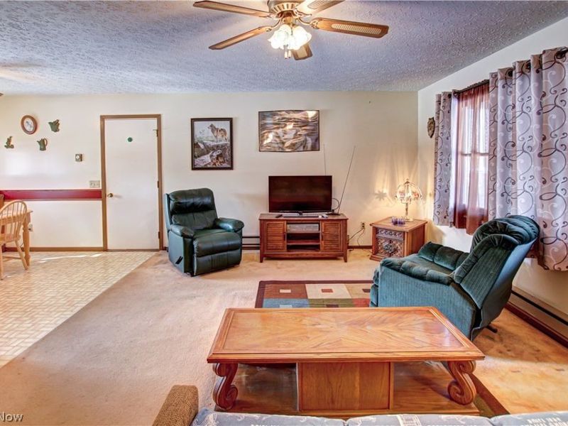 42113 Meadow Lane, Lagrange, OH 44050 Photo 12