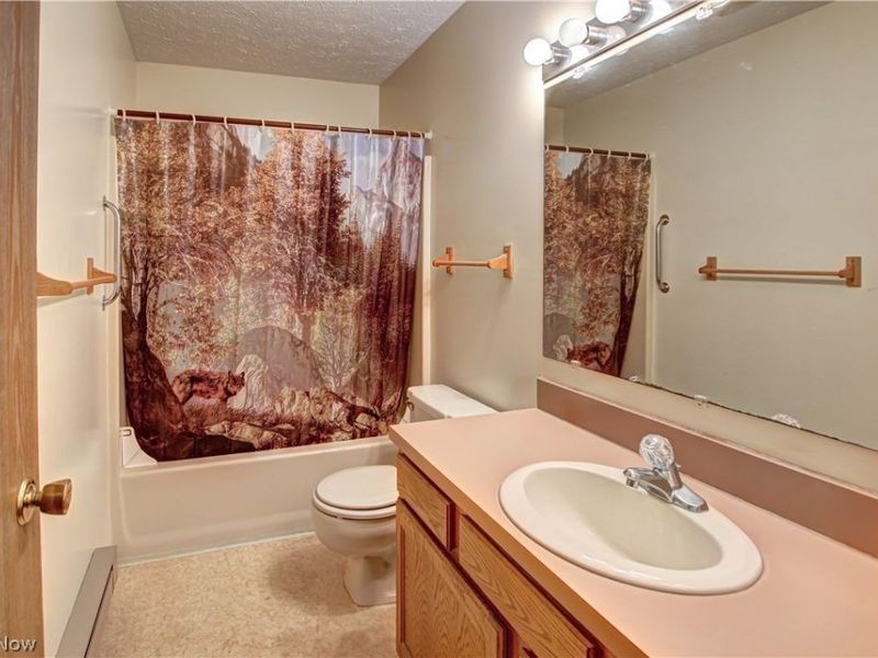 42113 Meadow Lane, Lagrange, OH 44050 Photo 19