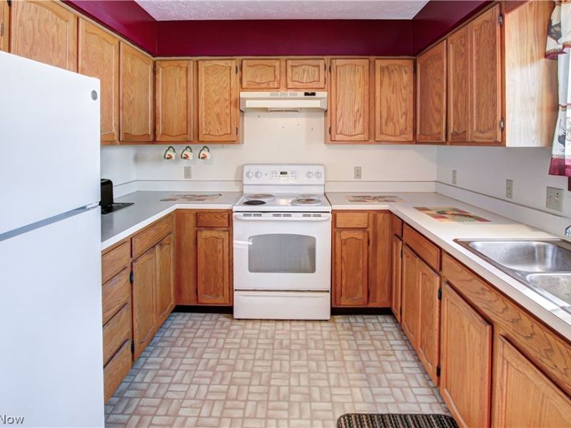 42113 Meadow Lane, Lagrange, OH 44050 Photo 2