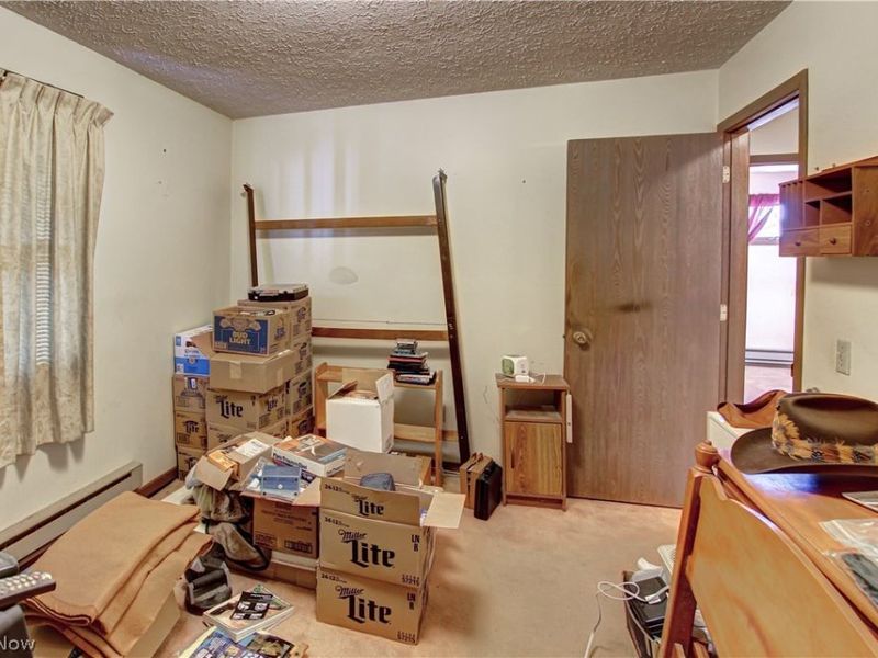 42113 Meadow Lane, Lagrange, OH 44050 Photo 22