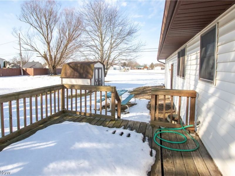 42113 Meadow Lane, Lagrange, OH 44050 Photo 28